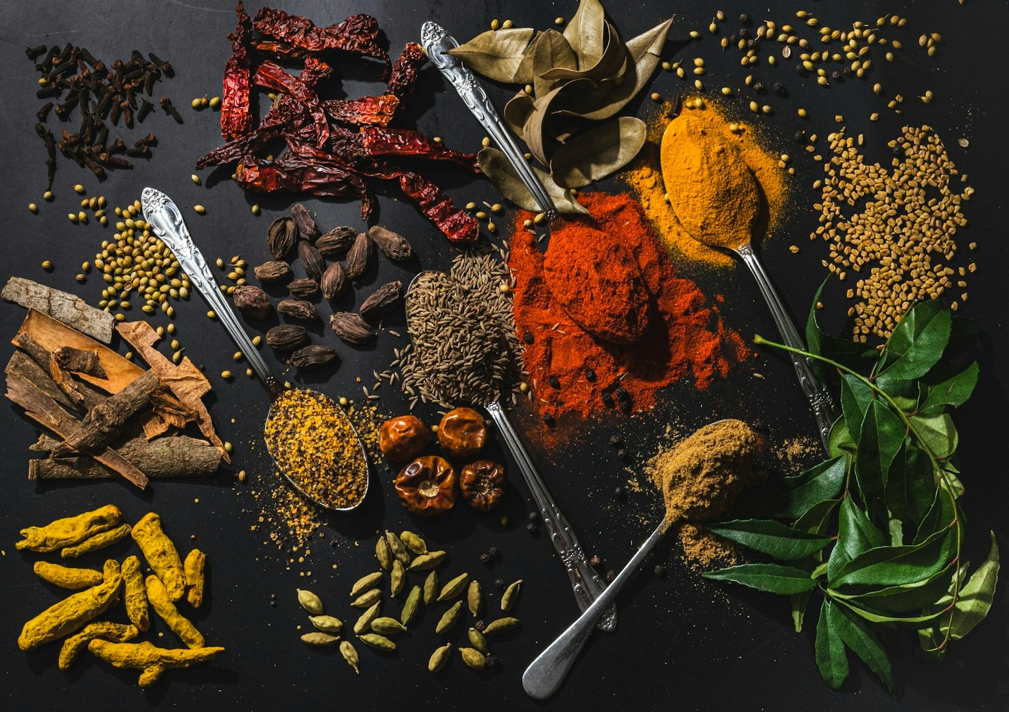 From Tandoori to Biryani: A Journey at Palais de l’Inde