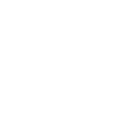 palaisdelindelille-logo-2